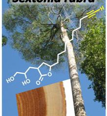 Réunion scientifique