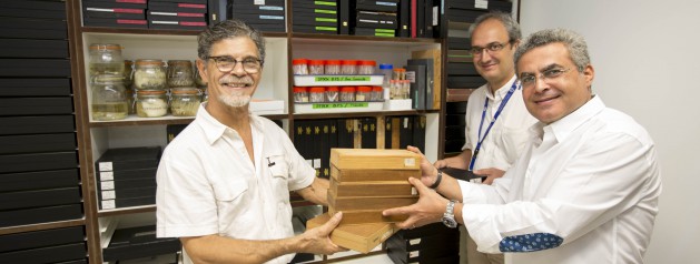 La collection personnelle d’Émile Abonnenc rejoint les collections d’insectes de l’Institut