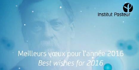 L’Institut Pasteur de la Guyane vous présente ses meilleurs vœux pour l’année 2016