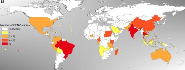 Les études de séroprévalence des arbovirus dans le monde revues par les chercheurs de l’IP Guyane