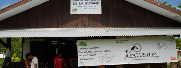 Paludisme: le projet « ELIMALAR » pour envisager l’élimination du paludisme en Guyane et ses pays limitrophes