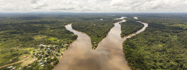 Circulation du virus émergent Mayaro en Amazonie Française