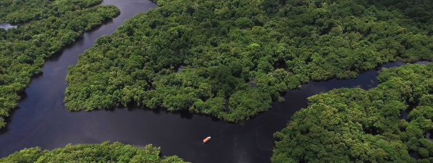 [Article] Au cœur de l’Amazonie, la crainte d’une future pandémie